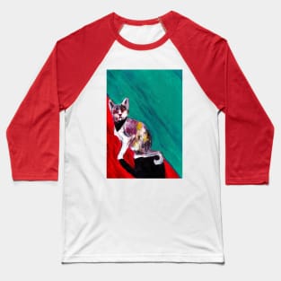 a Blind Cat Baseball T-Shirt